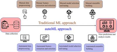 AutoML accurately predicts endovascular mechanical thrombectomy in acute large vessel ischemic stroke